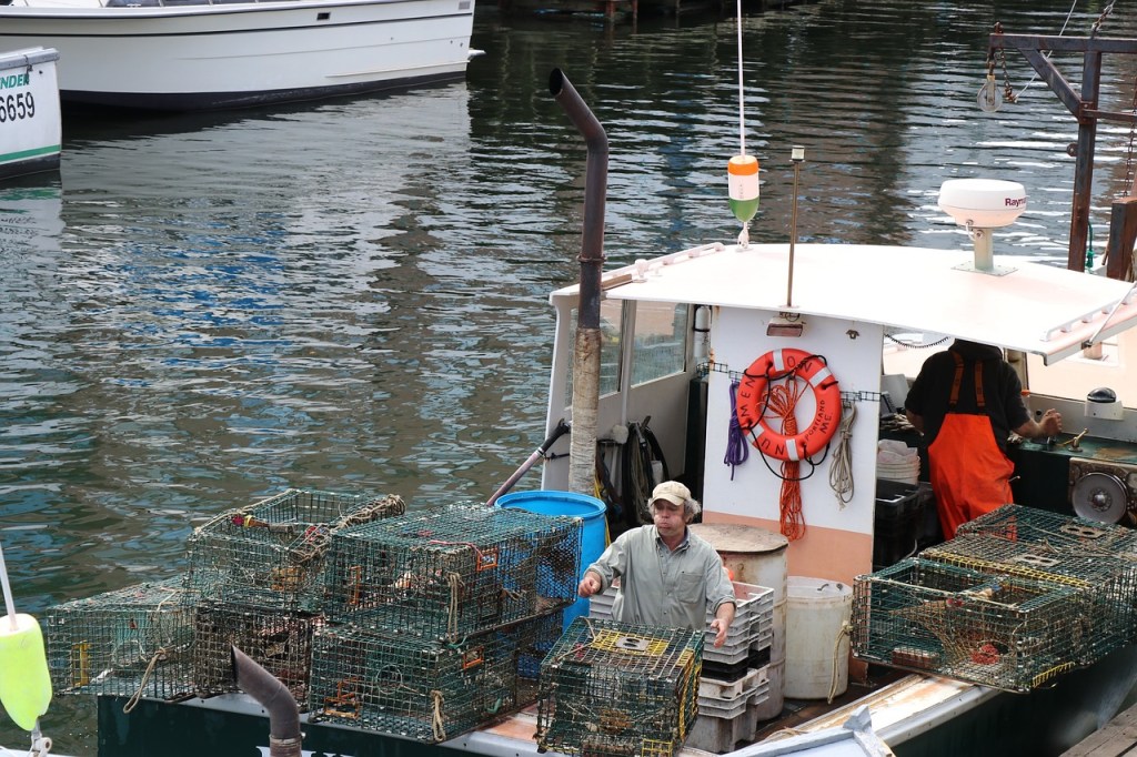 Bringing in lobster pots on boat