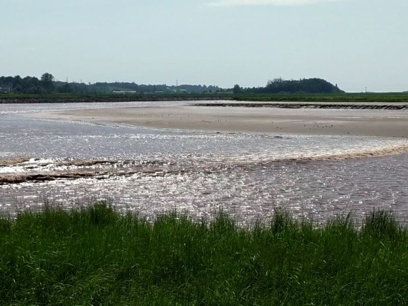 Tides in the Minas&nbsp;Basin