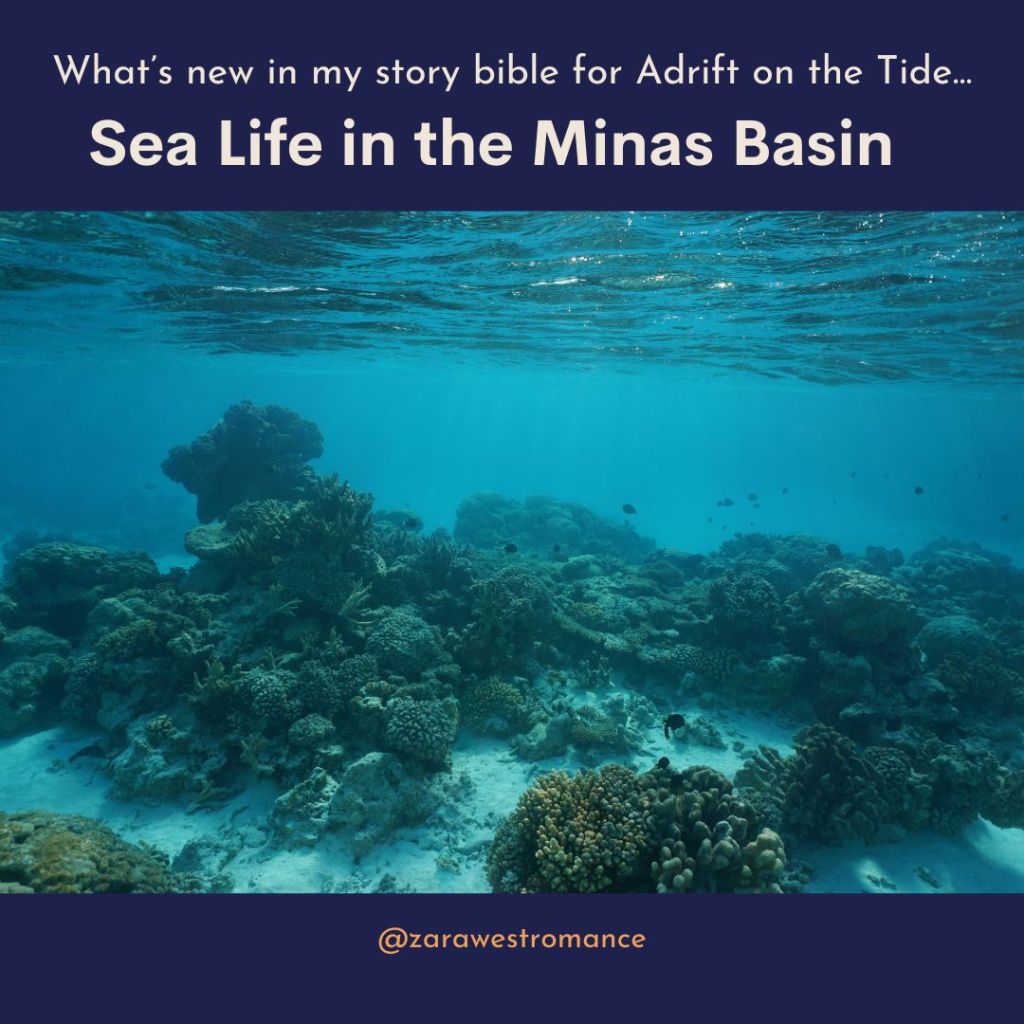 The Minas Basin&nbsp;Ecology